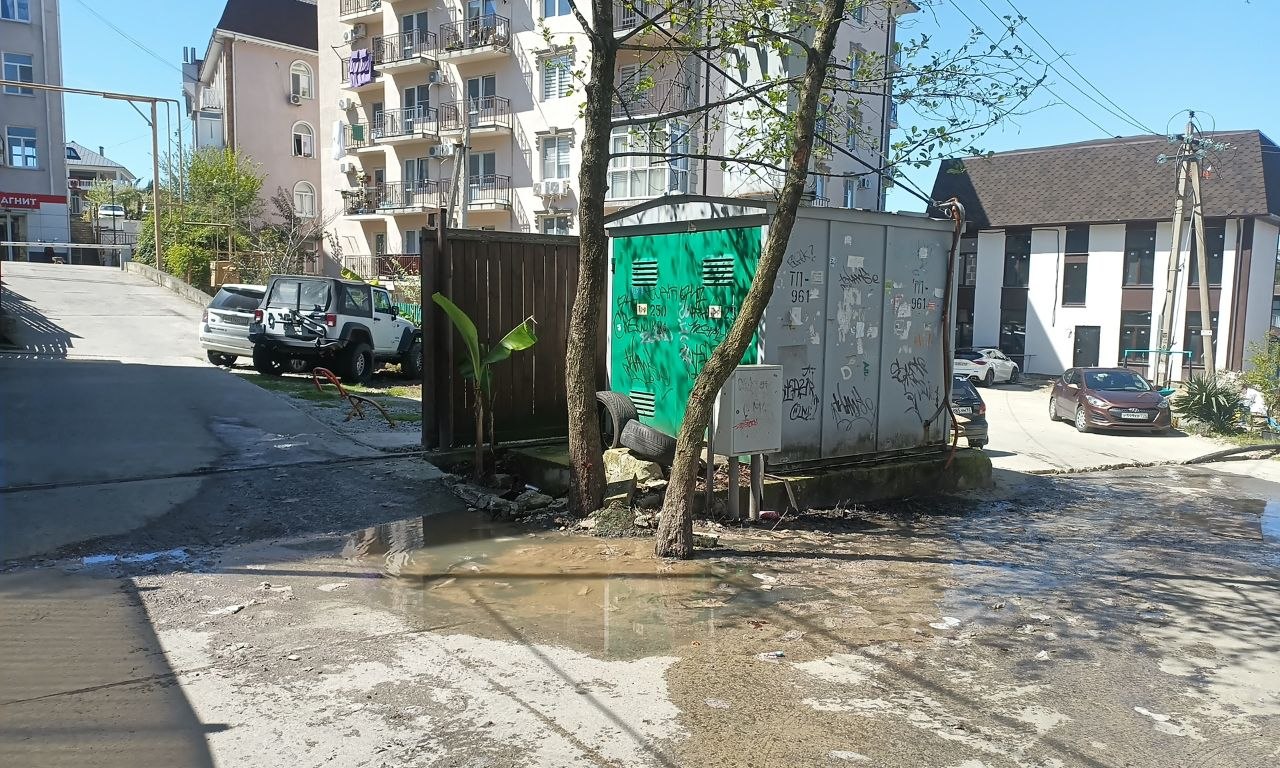 КубанскиеВести.Ру - Нечистоты из канализации на Пятигорской в Сочи идут верхом уже несколько месяцев