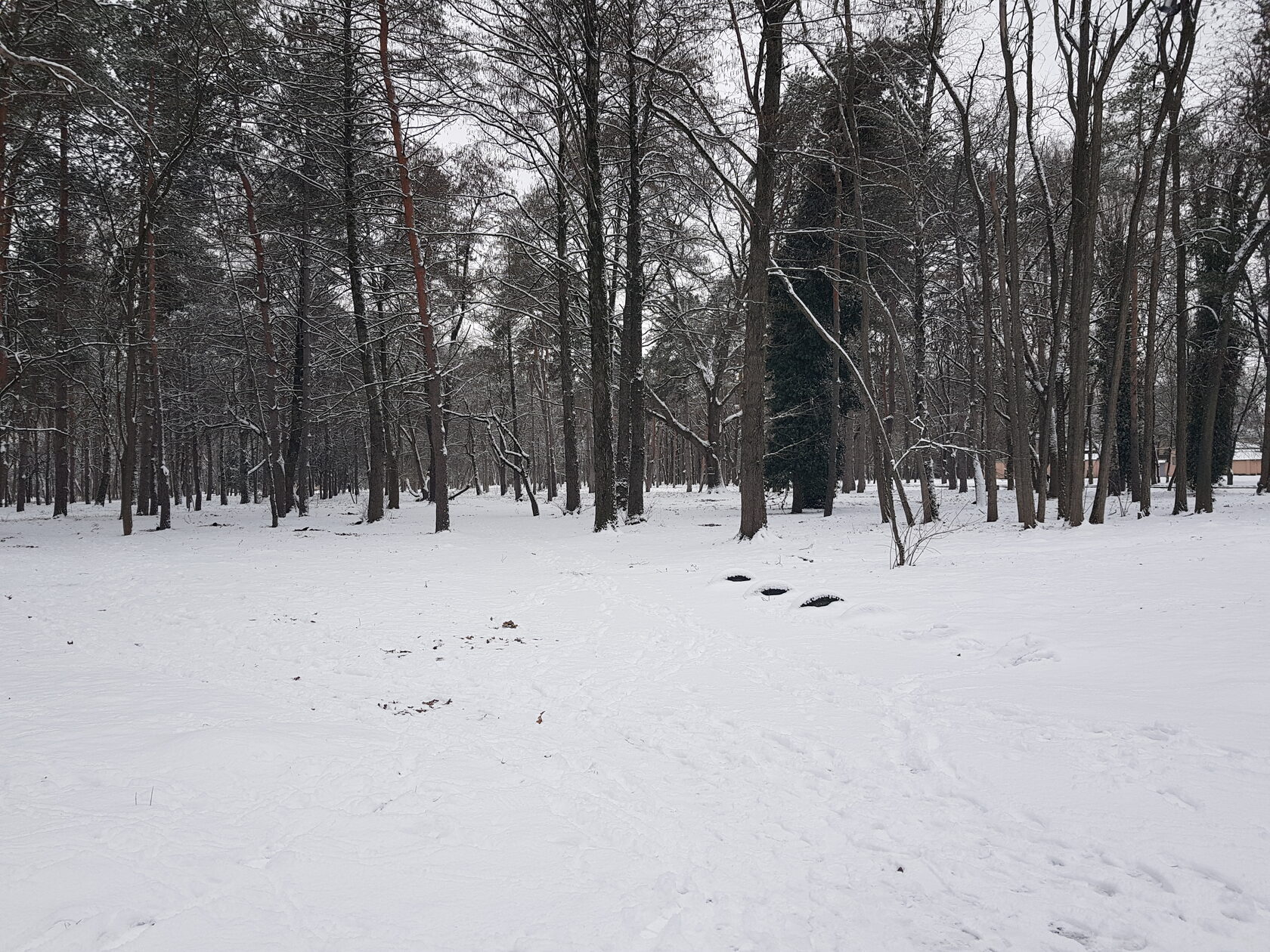 КубанскиеВести.Ру - Российская станция «Восток» зафиксировала самую низкую температуру на планете
