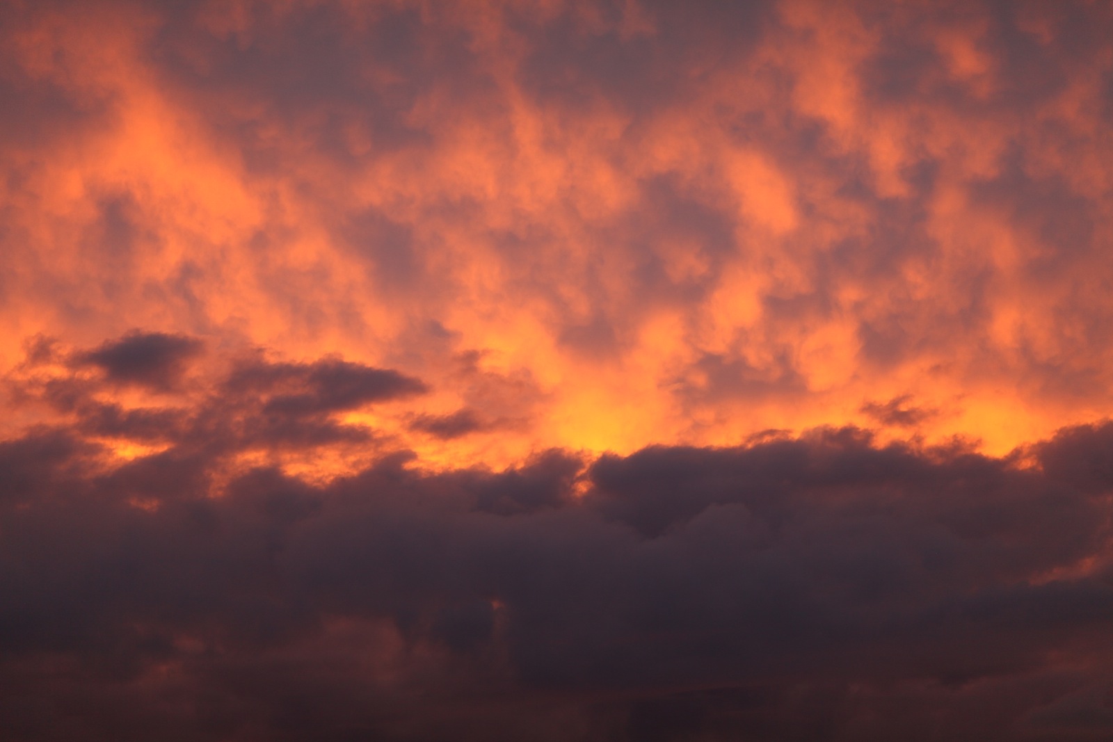 КубанскиеВести.Ру - Температурный максимум в Туапсе превысил рекорд 1958 года